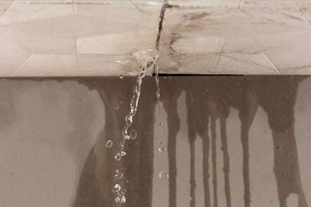 Professional Water Damage Inspection technician working in Cedar Grove, TN